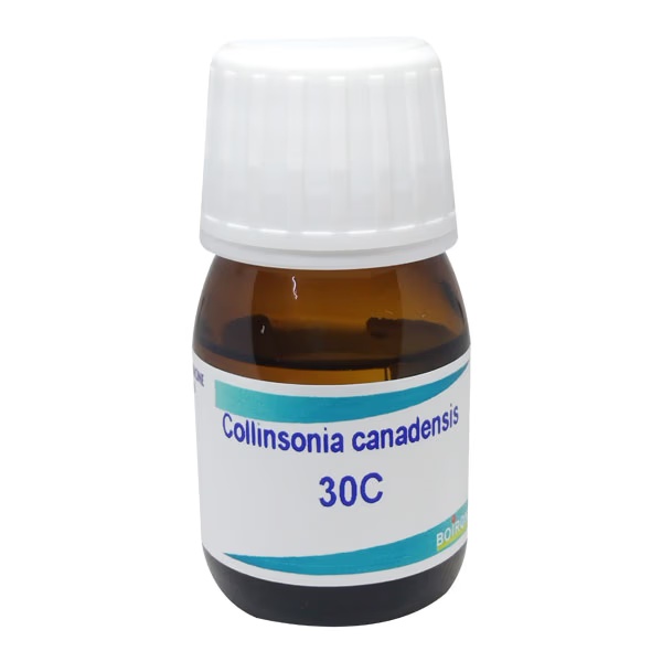 Boiron Collinsonia Canadensis 30C Liquid 20 ml 1 9392-boiron-collinsonia-canadensis-30c-liquid-20-ml-1.jpg