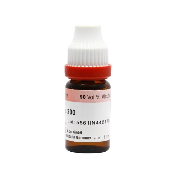 9531-dr-reckeweg-rumex-crispus-200-liquid-11-ml-1.jpg
